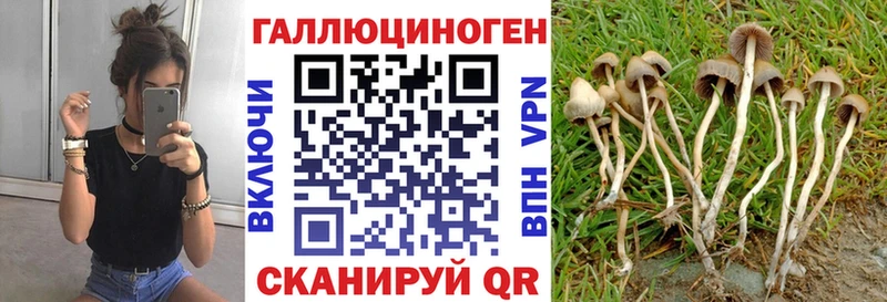 Псилоцибиновые грибы GOLDEN TEACHER Кумертау